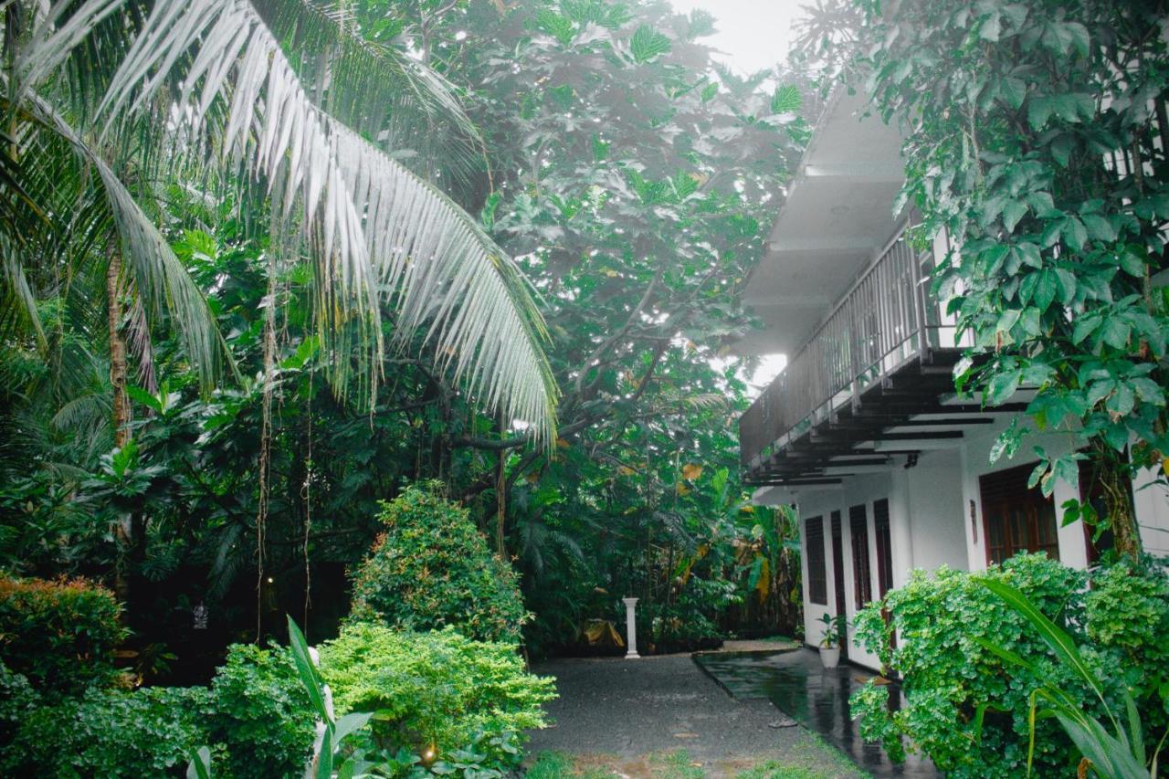 Bananas Mirissa Hotel Exterior photo